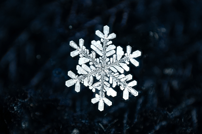 ����� ����: ������ ��������.