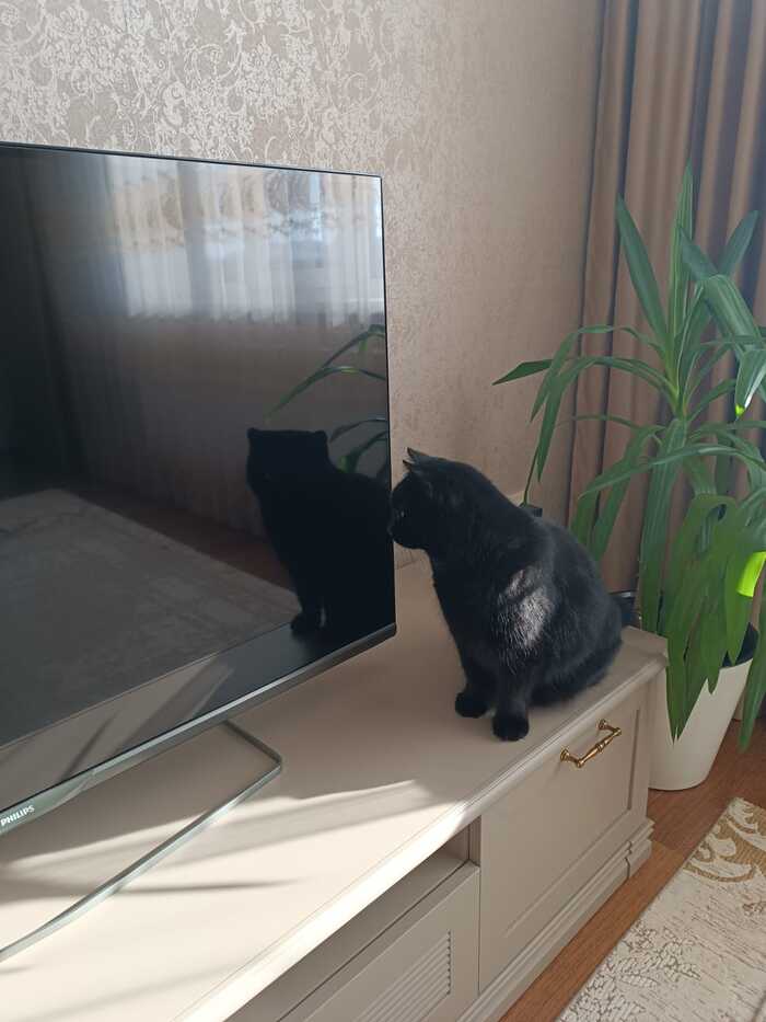 ��� ������ ���������� �����