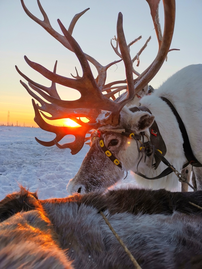 ������� �� �����