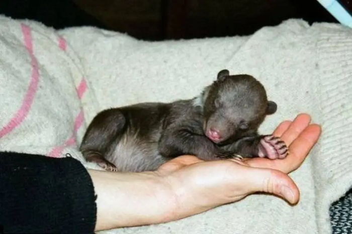 ������ ����� ������. �� ������������� � ������ ������� �� ����������!