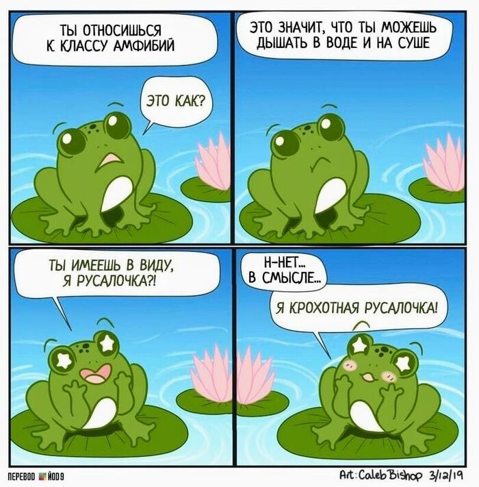 Среда день Жабок. Русалочка