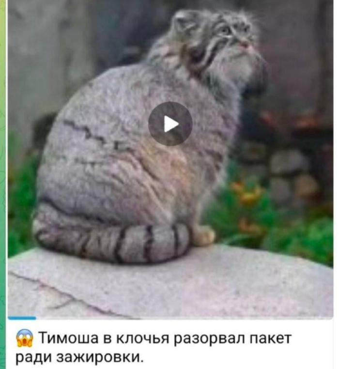 Когда тебе привезли доставку