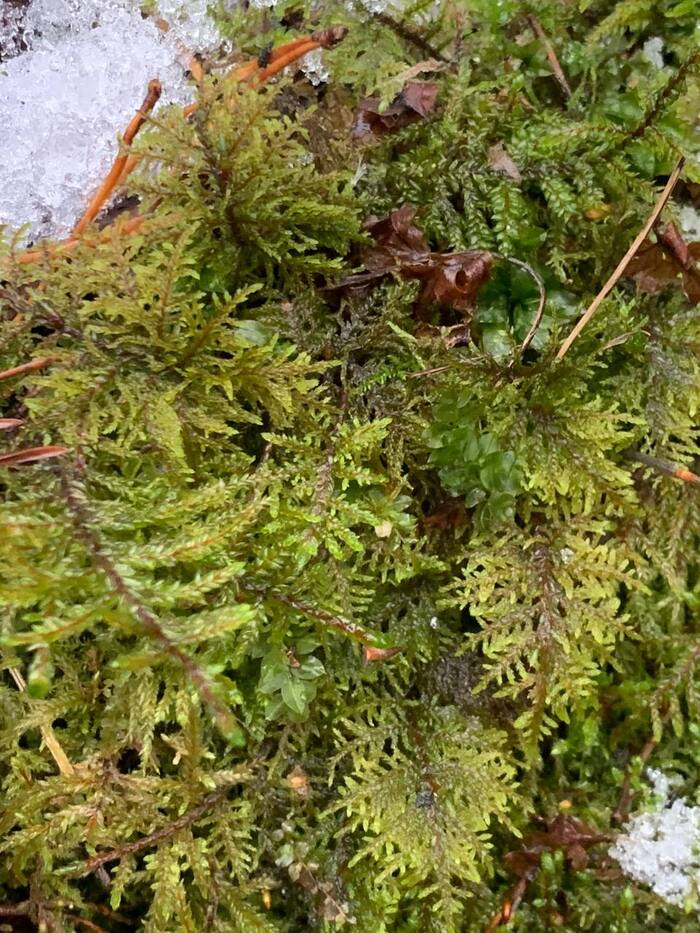 166 ���� ������� #88