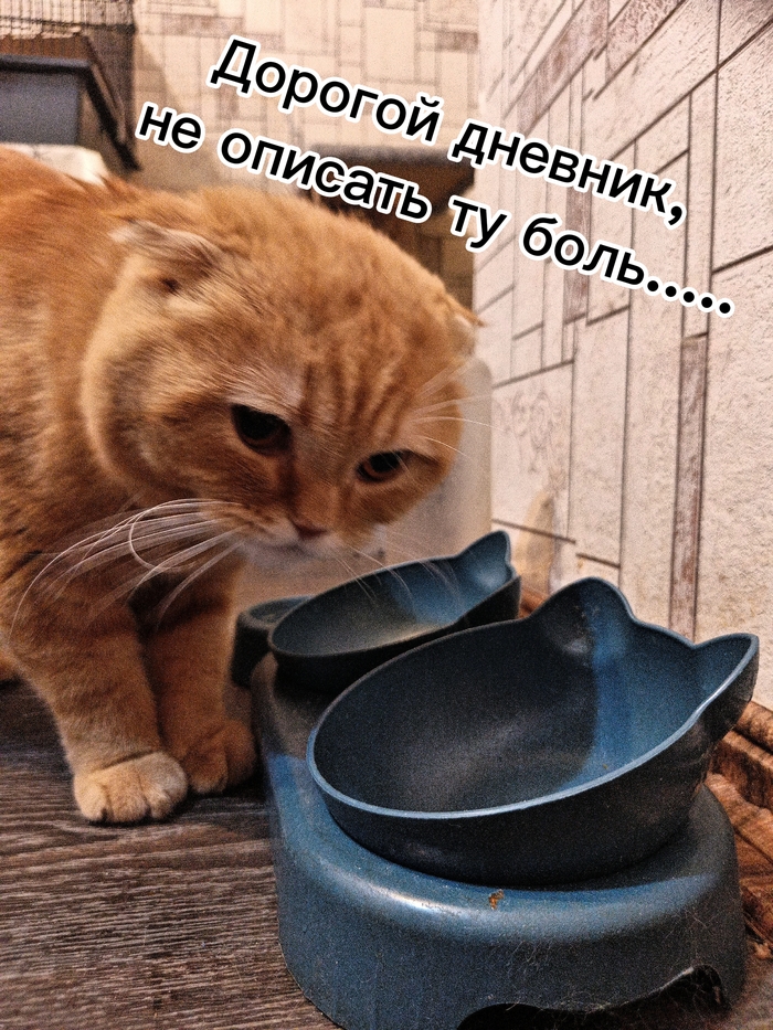 ����� ������� � ������ ����