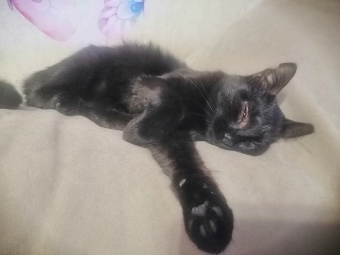 ����. ��� �� �������. ����� ������ � ����������� �� ���� ������.