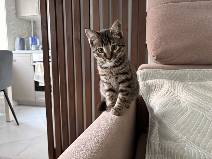 Первый день дома, освоился быстро