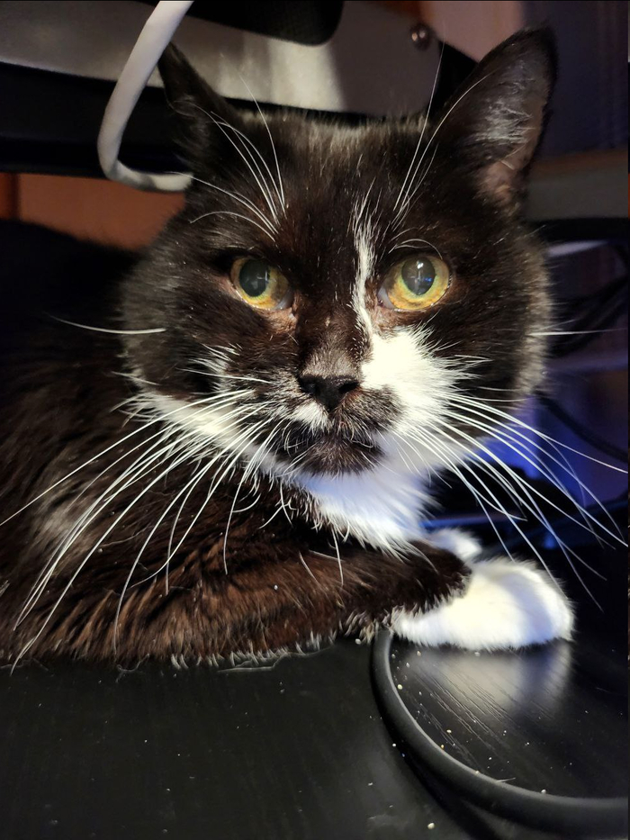 ����� �����������? ����� � ��� ������� ������...