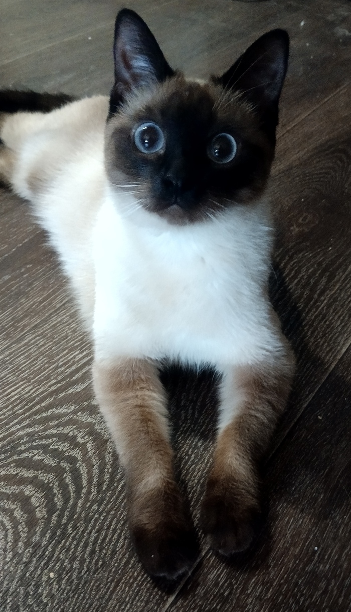 Наша маленькая Алинка