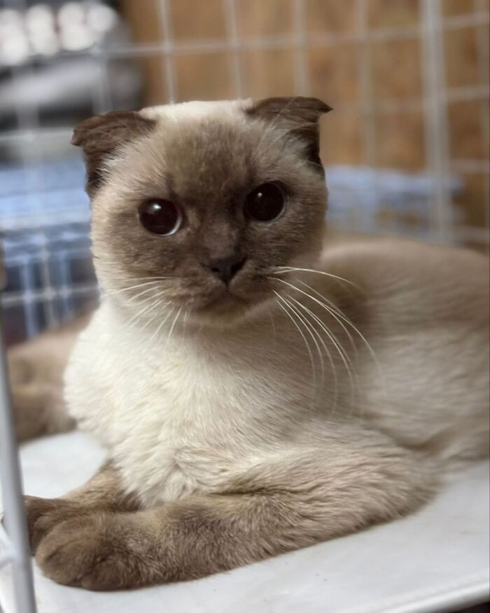 �������� ����������. ������� ����� ����! ������, ���