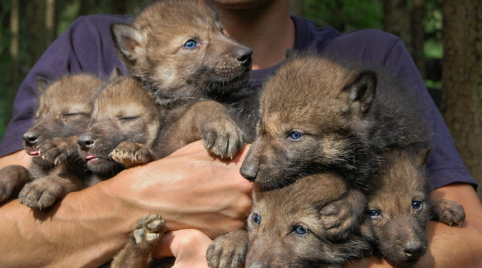 ���� �� ����