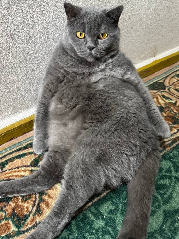 ��, �����?