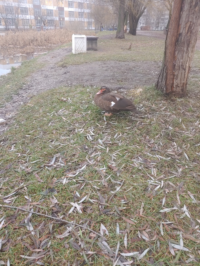 ���������! � ��������� ����� �������� ���� ������ �������