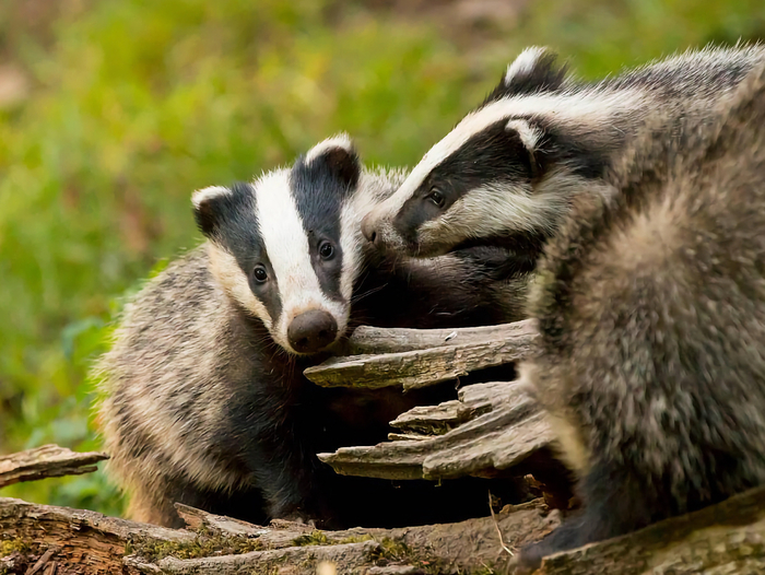 �������� ��, ����� ����� ���� ��������� ��������, ���� �� ���� �� ������, ���� �� ����? � �� �� ������ � ������� � ������������ � ������ ���-�� ��������.