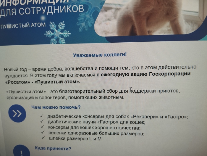 �������� ����