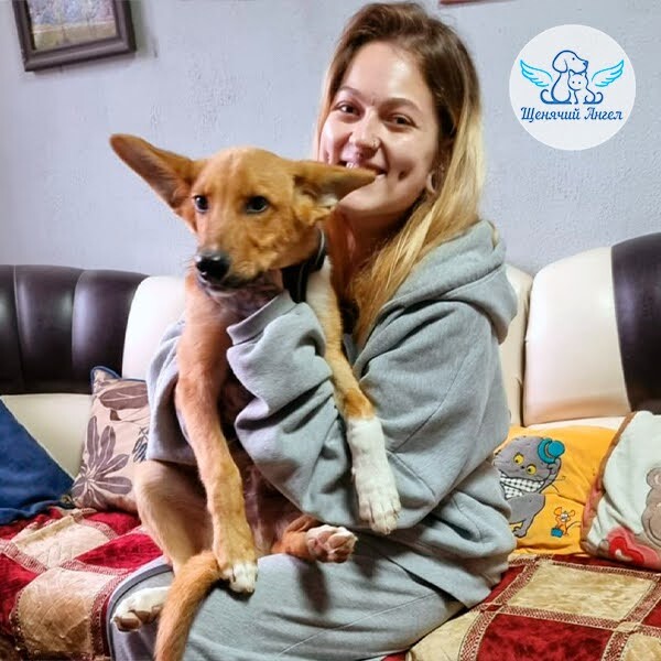 ��� ���������� ��� ����� ������ �������� � ����� ����, �������� ����� ����� ��������� ����� �� ������