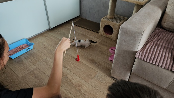 � �������� ����� ������� ���������� 😄