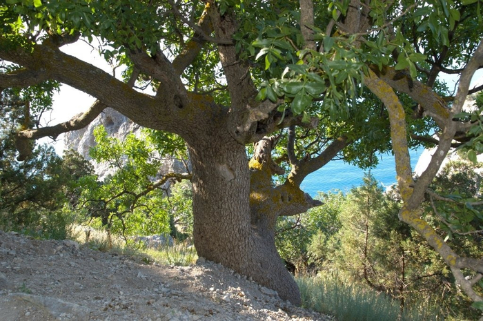 ��������� ������� � ������.