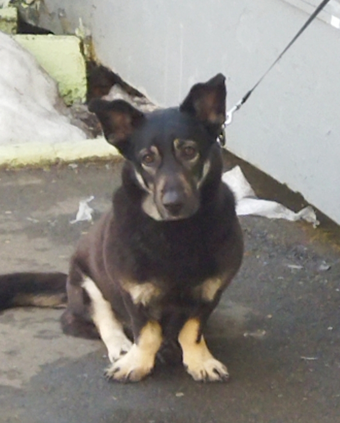 � �� �������������� ����� �����?