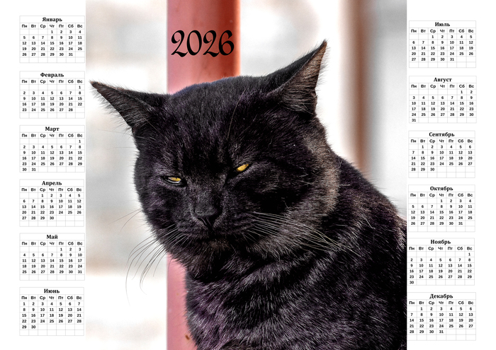 ��������� "������ ������� ���"