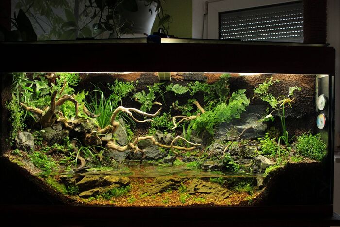 ���������� ������ ������: ��� � ���� ������� ���������� ���, � ������� �� ������ �������� � �� ������ ������