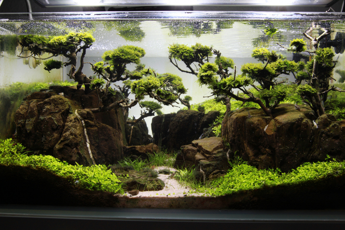 ���������� �� �������� ��������: ��������� ����� (�������) � ���� ������ (�������)