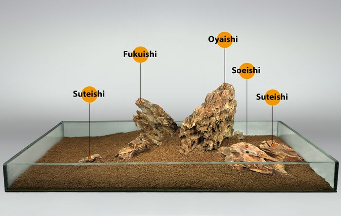 ���������� �� �������� ��������: ��������� ����� (�������) � ���� ������ (�������)