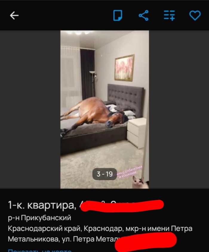 Посмотреть Краснодар и снять квартиру на Авито, объявление ещё висит, с женой ржем уже 2 дня