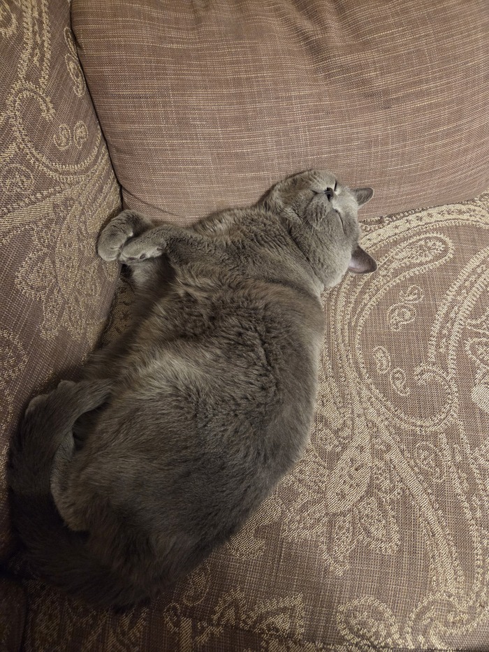 ����� �� ���� ���� ������ ���������� ����