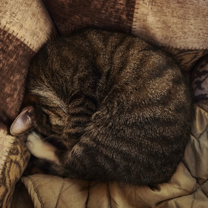 ��������������