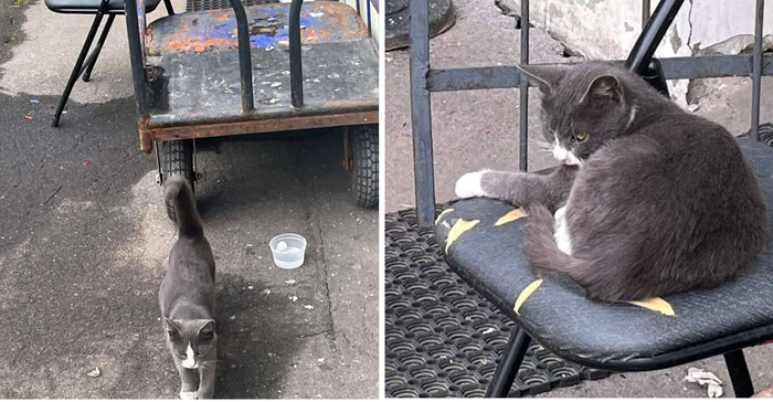 ����� � ������... ��� � ������ ��� ������� ��������...