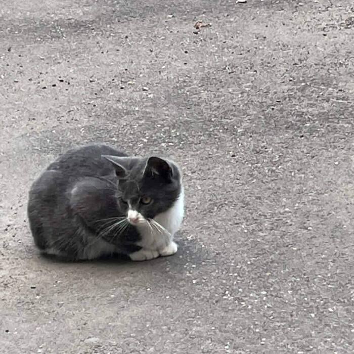 ����� � ������... ��� � ������ ��� ������� ��������...