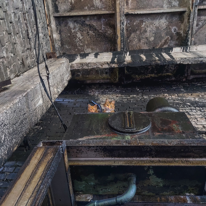 ����� Svarnoi43 � �� ������� (���. ��������) ��������� ��� ����� ���������