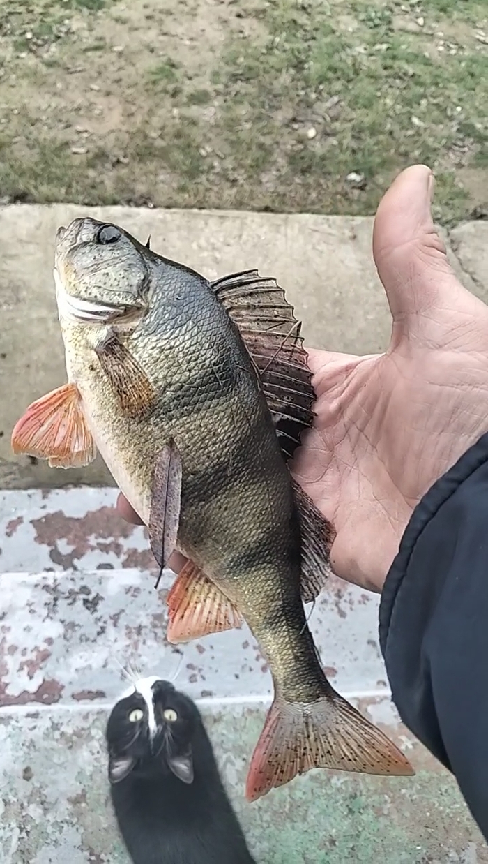�� ������ ���� ����
