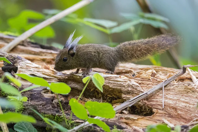 ��-��-��-��! ^~^