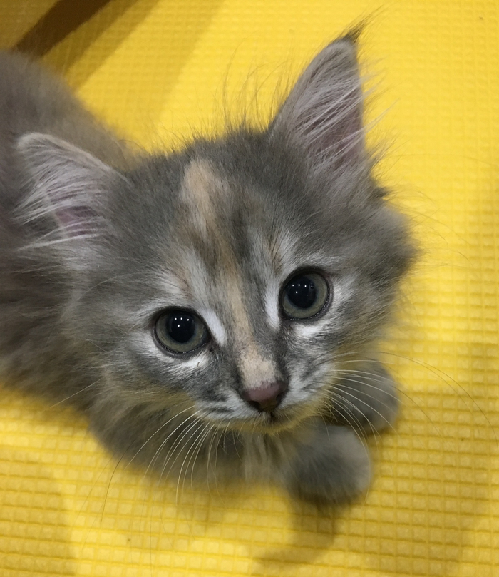 ����. ���� ������ ��� ����� ������������ ��������.