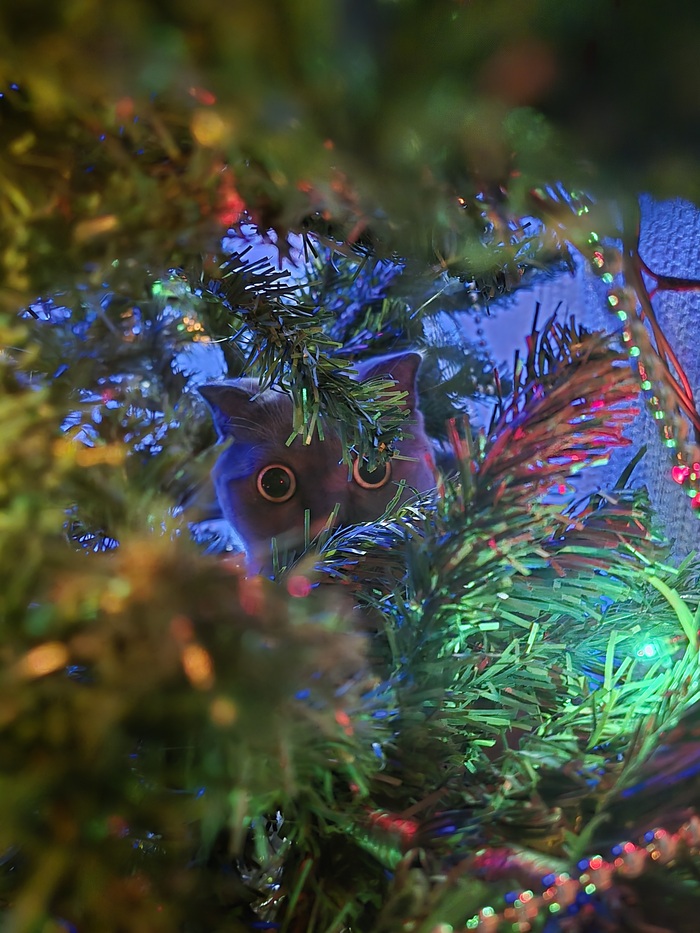 Немного Нового Года