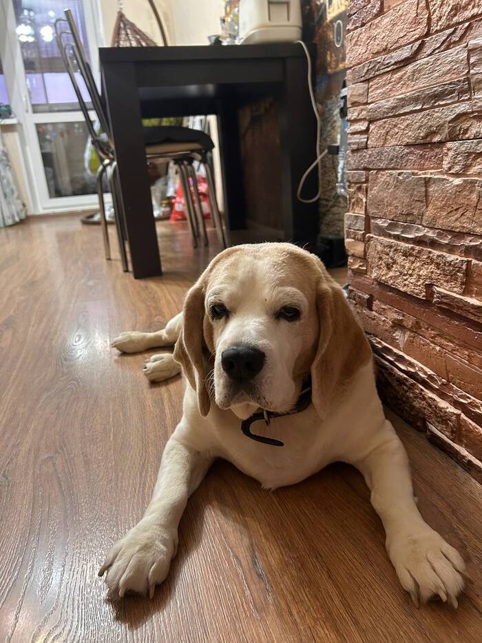 А это мой старый друг;)