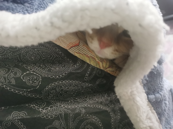 ����� �� ���� ���� ������ ���������� ����