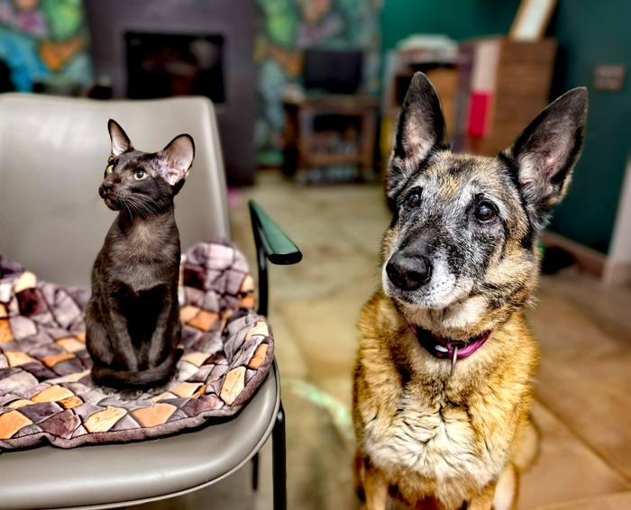 ��� ������ ���������� ���� 2025