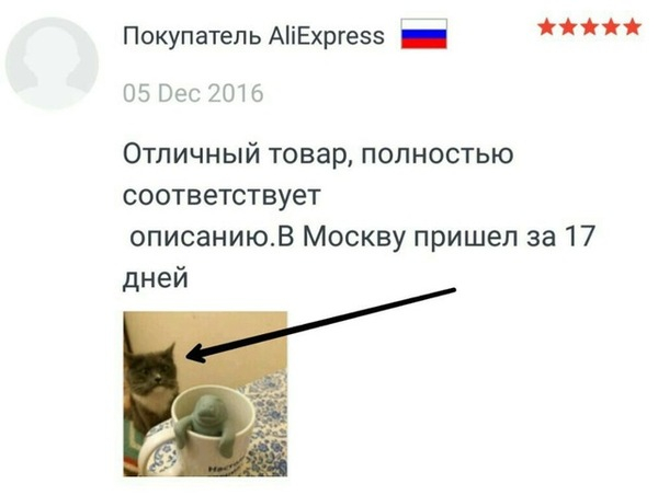 ����� ���� ��� ����� �� ����� ����������� �������