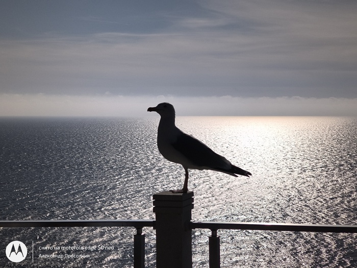 ���� ������������ �� ����