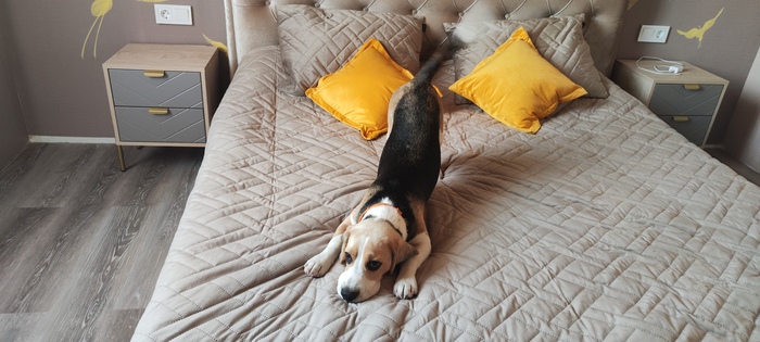 ������� ���