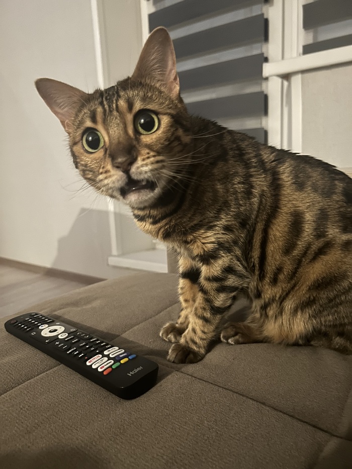 ����� �� ���� ���� ������ ���������� ����