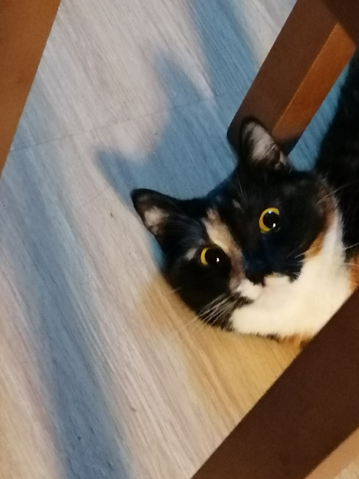 ���� ������������ ���� ���������� 😁