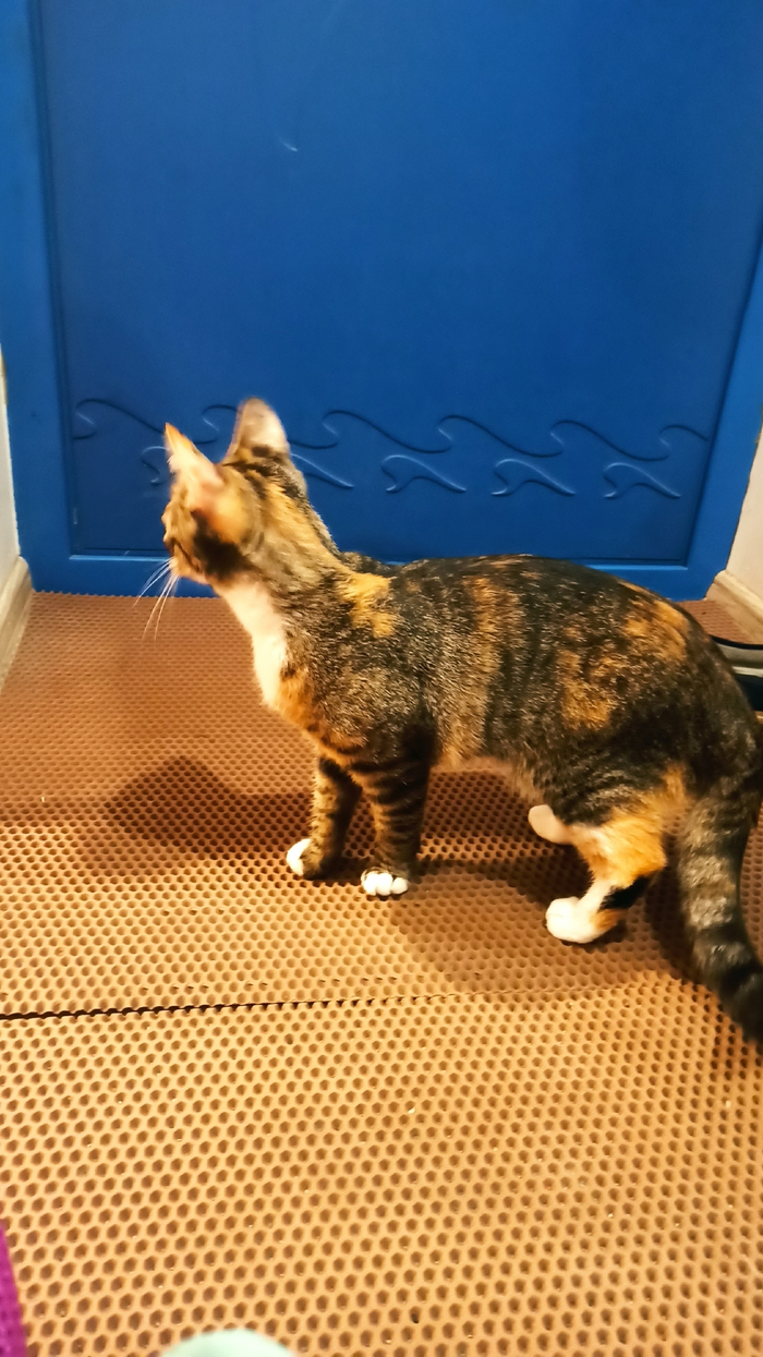 ����� � ����� ����.