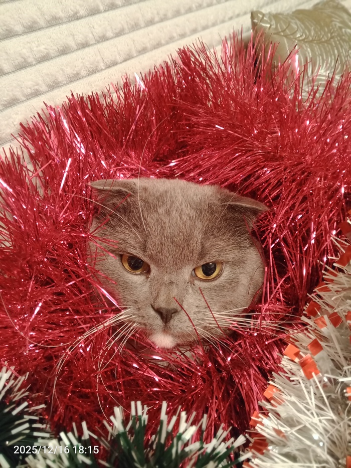 ����� �� ���� ���� ������ ���������� ����