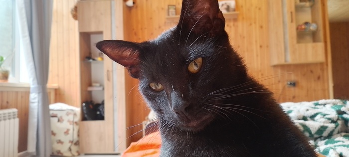 ��� ������ ���� ����