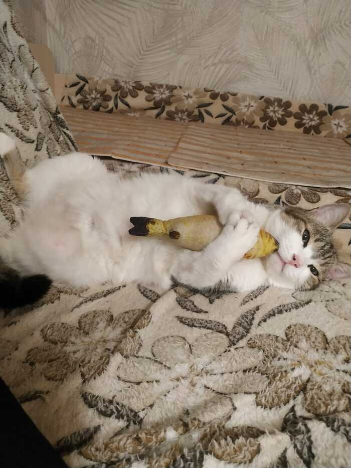 ��� � ������ ����� �����-��!!!!