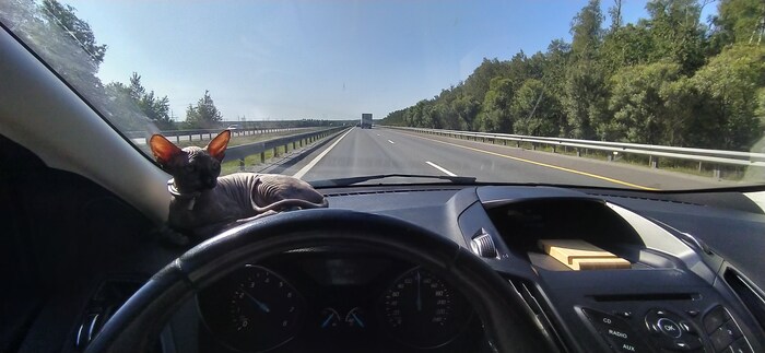 ��� ������ ���������� �����