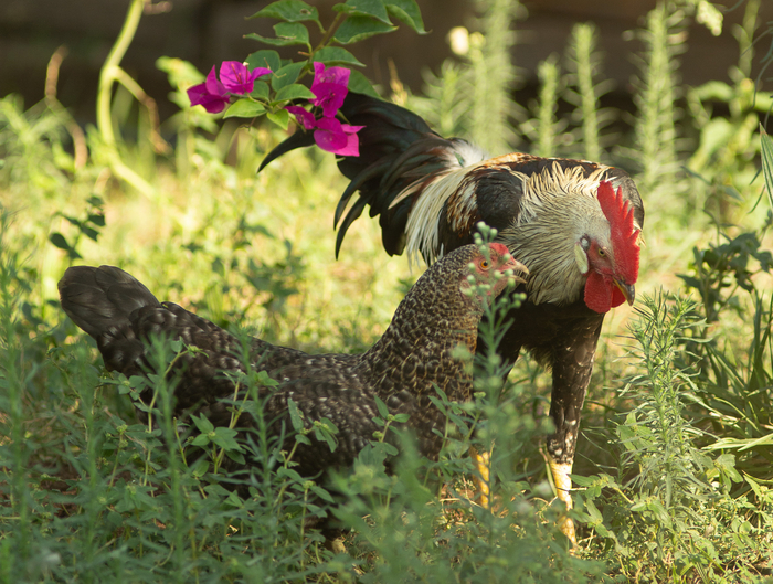 ��� �������, ��� ��� ��� �������?